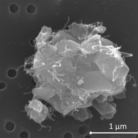 Types Of Airborne Particles Detected By Electron Microscopic