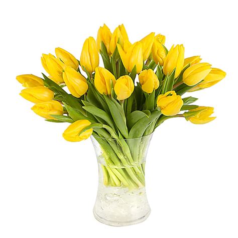 Yellow Tulips With Vase Delivered The Same Day