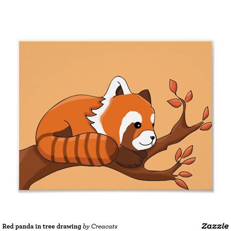 Drawing Of Red Panda In Tree Poster Zazzle Red Panda Cartoon Panda