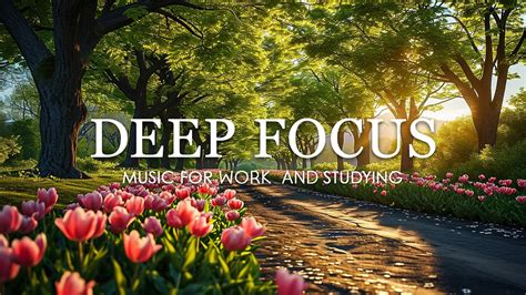 Deep Focus Music To Improve Concentration Hours Of Ambient Study