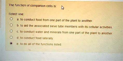 SOLVED: The function of companion cells is: - To conduct food from one ...