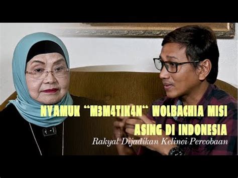 Eks Menkes Siti Fadilah Bongkar Penyebaran Nyamuk Wolbachi Di Indonesia