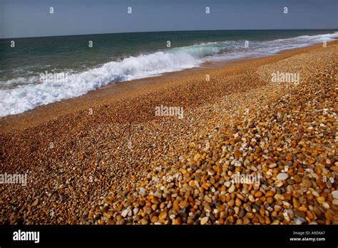 Chesil Beach At West Bexington Dorset Stock Photo Alamy