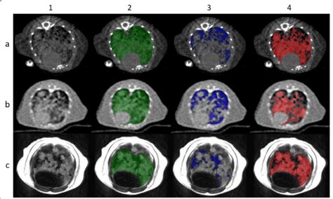 Overview Of The Segmentation Process Segmentation Of Micro Ct Row A