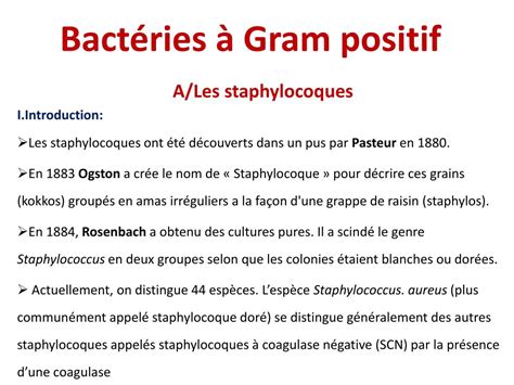 Ppt Bactéries à Gram Positif Powerpoint Presentation Free Download