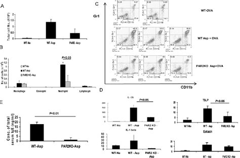 Figure 1 From Role Of Protease Activated Receptor 2 Par2 In