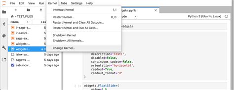 Jupyter Kernel Selection in VSCode: Docker & WSL Setup Guide