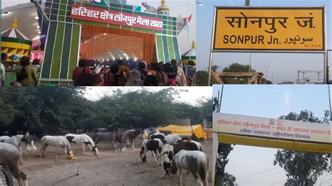 विश्व प्रसिद्ध सोनपुर मेला 2022sonpur Mela 2022village Vloger Vikas