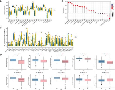 Frontiers Identification Of Heterogeneous Subtypes And A Prognostic