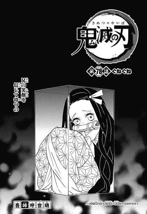 Nezuko Kamado Image Gallery Kimetsu No Yaiba Wiki Fandom Demon Slayer Slayer Anime