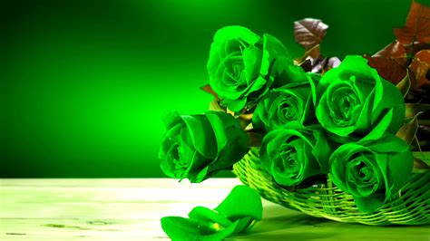 Rose Flower Desktop Hd Wallpaper | Best Flower Site