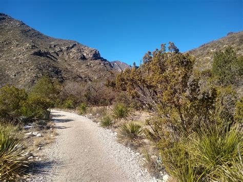 Guadalupe National Park hikes : r/hiking