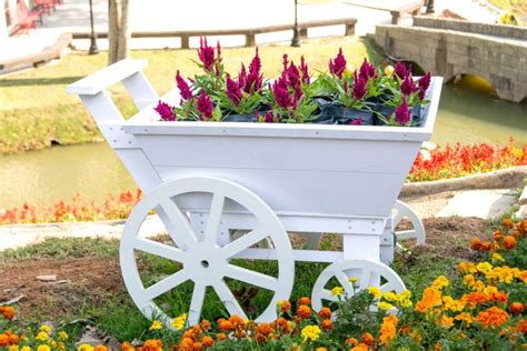 27 Wheelbarrow Planter Ideas | Garden Outline