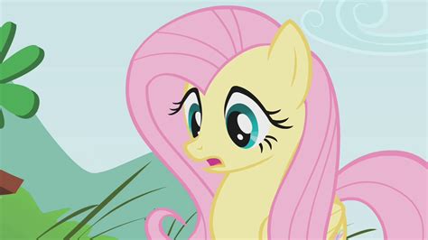 Image - Fluttershy looks surprised S1E07.png - My Little Pony ...