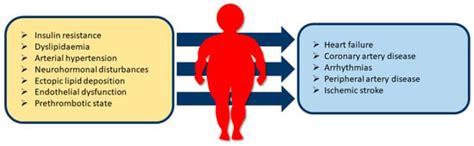 Healthcare Free Full Text Obesity And Cardiovascular Risk