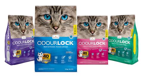 Intersand Odourlock Baby Powder Cat Litter Kg The Pet Centre