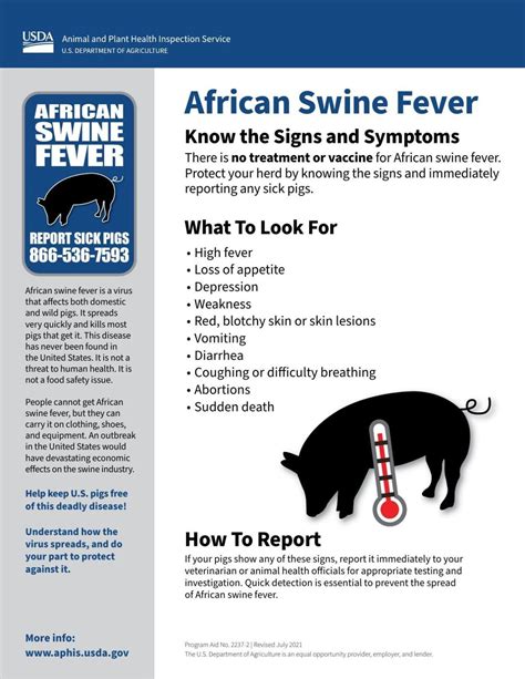 Fight To Prevent African Swine Fever