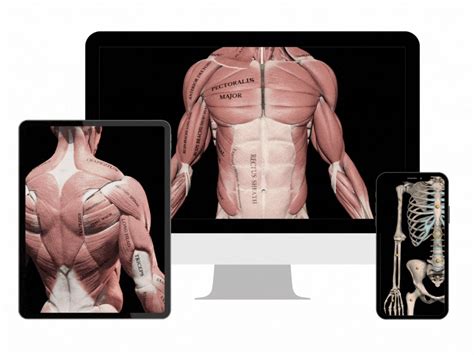 3D Anatomy App: Watch 2000+ unique videos of all muscles in 3D