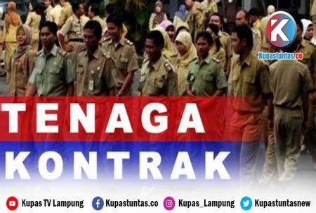 Kupas Tuntas Pengurangan Tenaga Kontrak Di Pemkab Pesibar BKD Kita