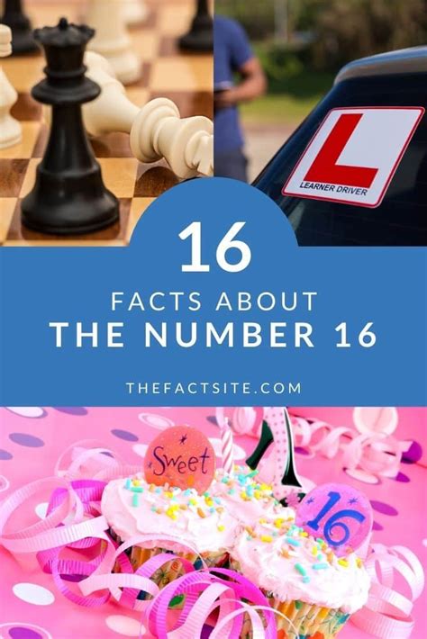 16 Facts About The Number 16 - The Fact Site