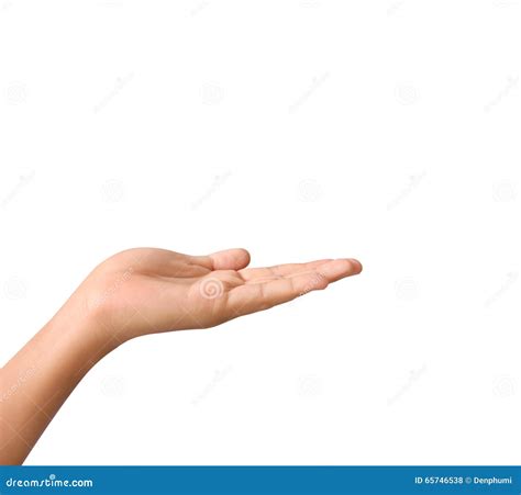 Open Palm Hand Gesture Stock Photo Image Of Human Finger