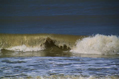 Images Gratuites Plage C Te La Nature Le Sable Oc An Horizon