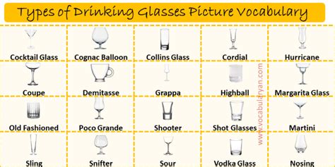 All Drinking Glasses Types And Their Uses Vocabularyan