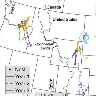 Year-round migration patterns of adult Ferruginous Hawks breeding in ...