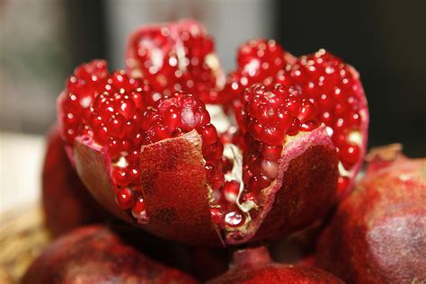 Banco De Imagens Plantar Framboesa Fruta Baga Flor Comida Vermelho Produzir Morango