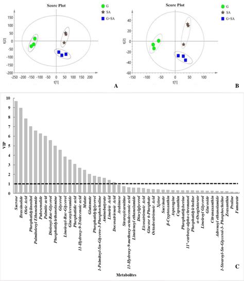 A Pca Score Plot And B Pls Da Score Plot Of Metabolites In