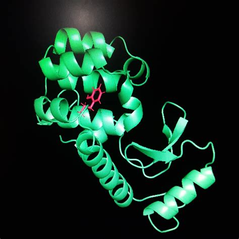 problem  molecular dynamics  protein ligand complex researchgate