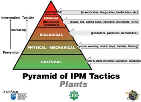 Understanding Integrated Pest Management Piedmont Master Gardeners