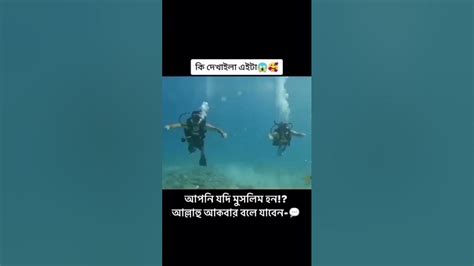 কী দেখলাম এটা।।😊😊 Youtube