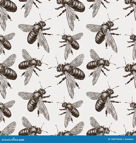 Bumblebees Cartoons, Illustrations & Vector Stock Images - 1491