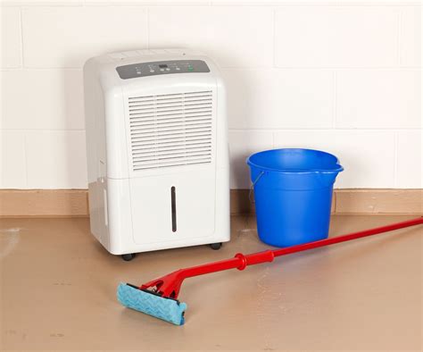 Does a Dehumidifier Cool a Room? The Truth About Dehumidifiers and Cooling