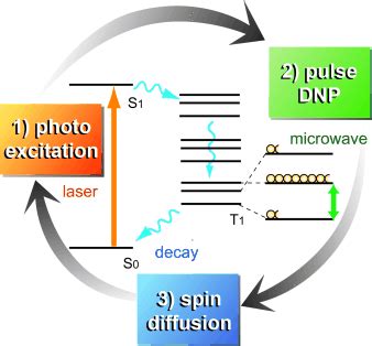 Dynamic Nuclear Polarization With Photoexcited Triplet Electrons In A