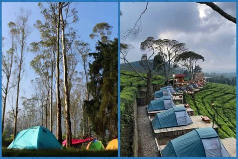 Rekomendasi Tempat Camping Di Bandung Ada View Kebun Teh Hingga