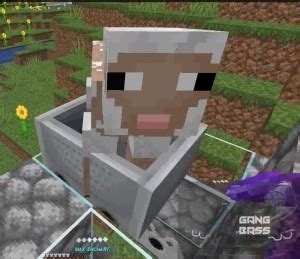 Create Meme Minecraft The Face Of A Sheep From Minecraft Screenshot