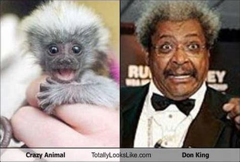 Funny Look Alikes (67 pics) - Izismile.com