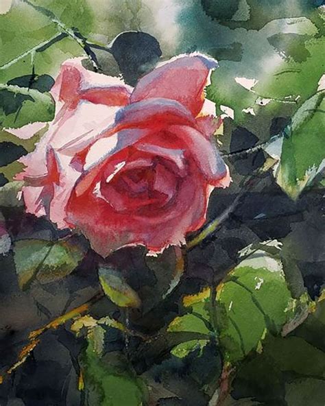 Yong Hong Zhong Watercolor Flowers Rose Painting Watercolor Flowers