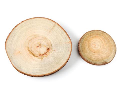 Top View Of Wood Slice Isolated On White Background Stock Image