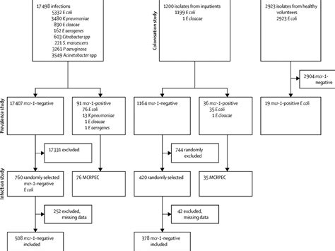 Prevalence Risk Factors Outcomes And Molecular Epidemiology Of Mcr