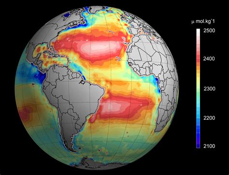 Acidificação Dos Oceanos Consequências Retoedu