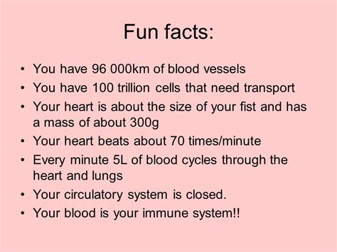 Circulatory System Fun Facts