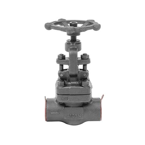 API602 A105n Forged Steel Sw NPT Bw Cl800 Cl 1500 Globe Valve China