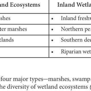 Types of Wetlands (EPA Classifications) Continued Wetland Types | Download Table