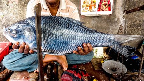 Big Size Katla Catla Fish Cutting By Expert Fish Cutter Fish