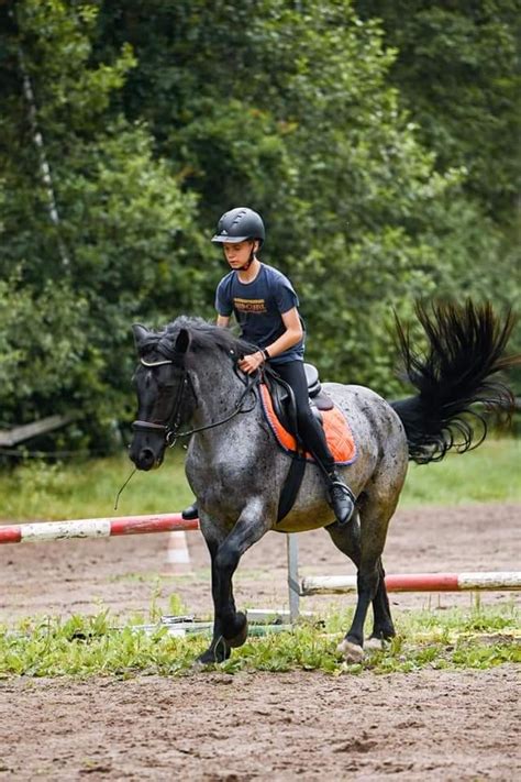 Pilna Sprzeda Letniego Wa Acha Typ Pogrubiany O Pi Knej Ma Ci