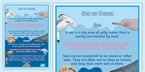 Sea vs Ocean Display Poster (teacher made) - Twinkl