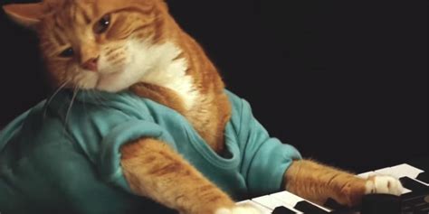 Keyboard Cat Has Died Indy100